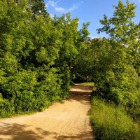 Июнь таки вспомнил, что он - лето :: Андрей Лукьянов Июнь таки вспомнил, что он - лето :: Андрей Лукьянов