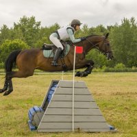 Кросс :: Татьяна Титова