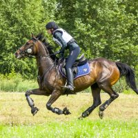 Кросс :: Татьяна Титова