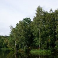 Лето..... :: Алёна Савина