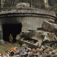 Маугли железо-бетонных джунглей :: СЮ 