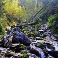 Трудной тропой заповедника :: Татьяна Лютаева