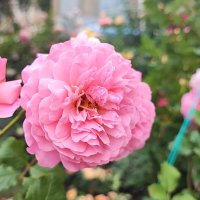 ,,, :: Сергей Тимоновский