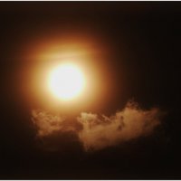 СОЛНЦЕ-этюд... :: Elvira E. 