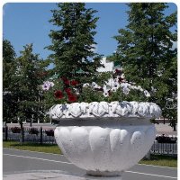 Городские цветы :: Alisia La DEMA