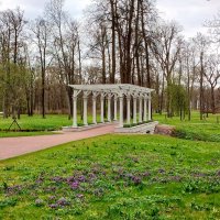 Весенняя картинка. :: Лия ☼