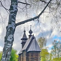 Спасская церковь. Кострома. :: Михаил Свиденцов