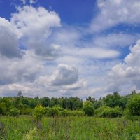 В поле... :: Владимир Жданов В поле... :: Владимир Жданов