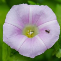 На краю... :: Владимир Жданов