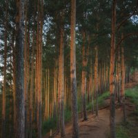 * :: Александр Иванов