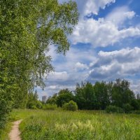 Конец июня... :: Владимир Жданов Конец июня... :: Владимир Жданов