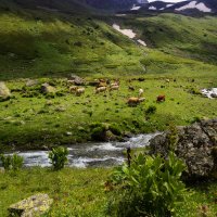 *** :: Сергей Лысенко