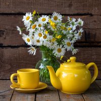 Ромашковый натюрморт :: Алексей Чигвинцев