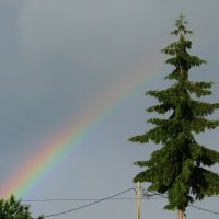 Встреча в вышине... :: Антонина Балабанова Встреча в вышине... :: Антонина Балабанова