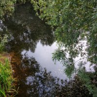 * * * :: Андрей Лукьянов * * * :: Андрей Лукьянов