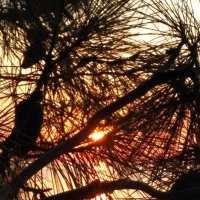 Просто красиво :: Натали 