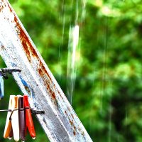 В дождь :: Юрий Гайворонскiий