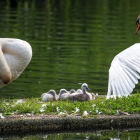 На маленьком плоту. :: Владимир Безбородов