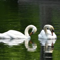 Москва. Парк Горького. :: Наташа *****