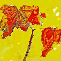 ЭТЮД :: Юрий Владимирович 34