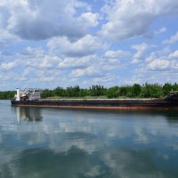 Дон трудяга. :: Виктор 