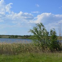 Донские зарисовки! :: Виктор 