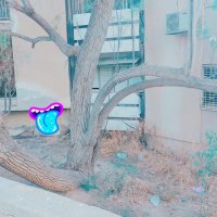 13  ОПЕН (208) :: OPEN WAYS ALL