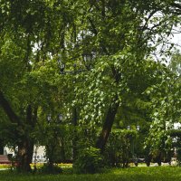 пейзаж :: סּﮗRuslan HAIBIKE Sevastyanovסּﮗסּ