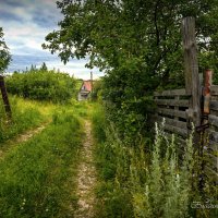 "Зеленый тупик в конце июня"© :: Владимир Макаров "Зеленый тупик в конце июня"© :: Владимир Макаров