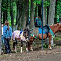 В летнем парке... :: Aquarius - Сергей