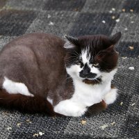 Охраняю ВкусВил :: Светлана 