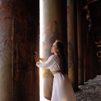 Вход в Нарнию. :: Елена