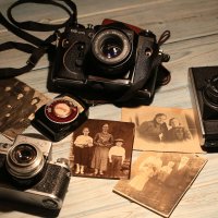 С днем фотоаппарата! :: Ninell Nikitina