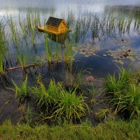 Из недопоказанного :: Андрей Лукьянов