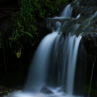 Гремучий ручей :: Дарья Панова