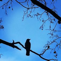 Одиночество :: Натали 