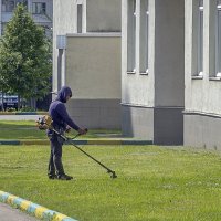 Всё косят и косят :: Валерий Иванович