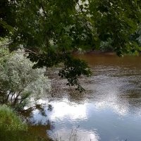 *** :: Валентина Береснева *** :: Валентина Береснева