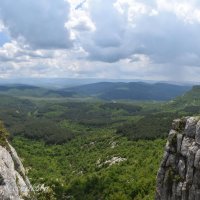 Природа Крыма :: Amazing Cosmea