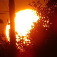 Солнце село в огород :: Павел Трунцев