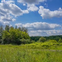 Конец июня... :: Владимир Жданов Конец июня... :: Владимир Жданов
