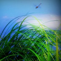 На озере Глубоком... :: Владимир Шошин На озере Глубоком... :: Владимир Шошин