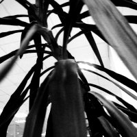 Назва. отсу. :: Денис Безногов