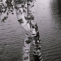 Назва. отсу. :: Денис Безногов Назва. отсу. :: Денис Безногов