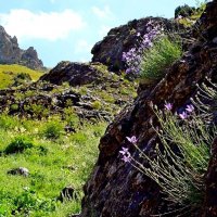 ПО ГОРАМ. :: Виктор Осипчук ПО ГОРАМ. :: Виктор Осипчук