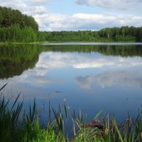 Аленушкин пруд. Село Рябово :: Лидия Бусурина