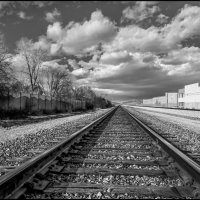 Перспектива :: **** vedin