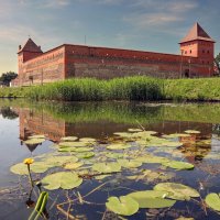 Лидский замок :: skijumper Иванов