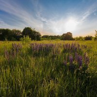 Летний закат :: Александр Синдерёв