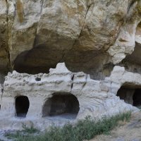 Природа Крыма :: Amazing Cosmea